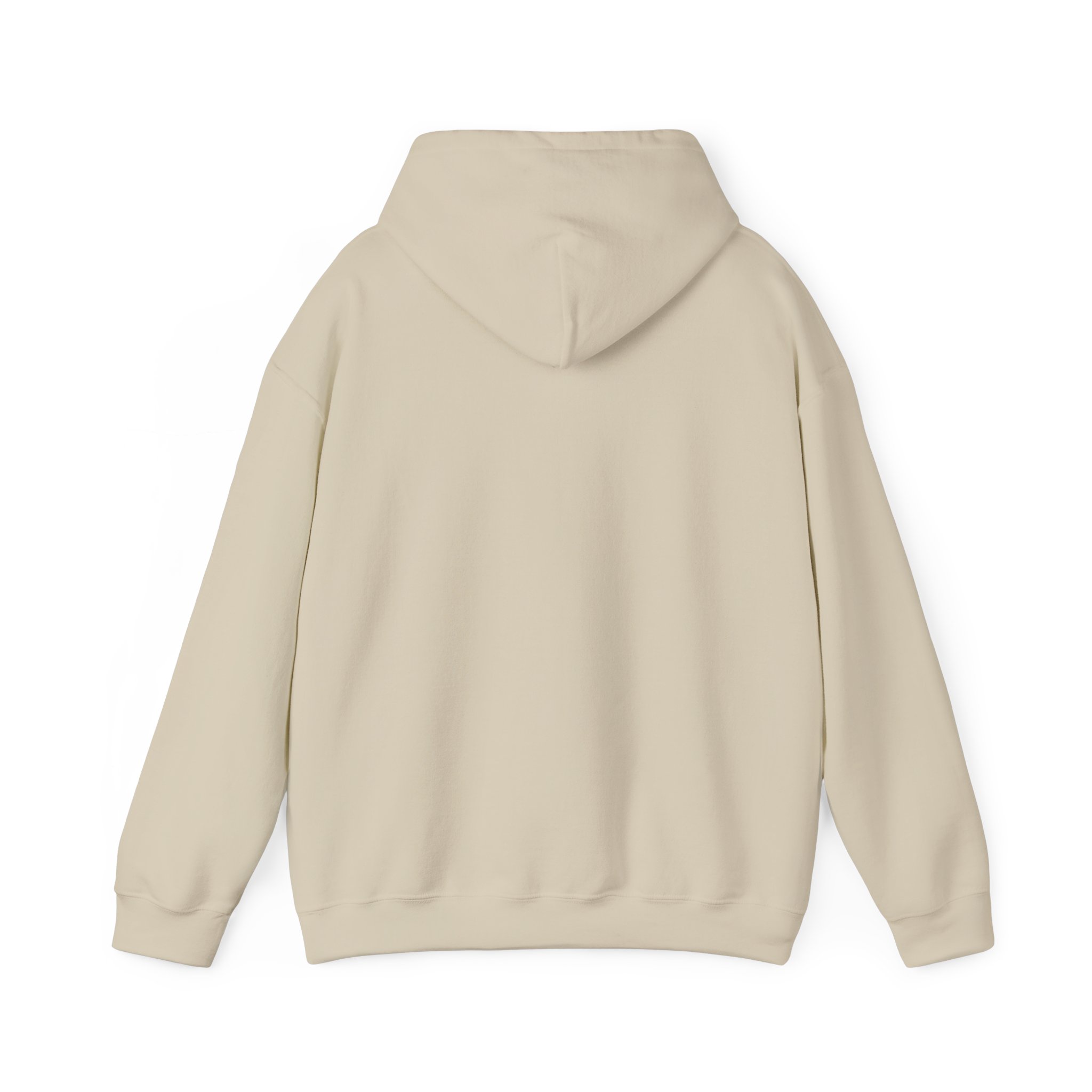 Unisex Heavy Blend™ Reading Sprint Hoodie - Image 10