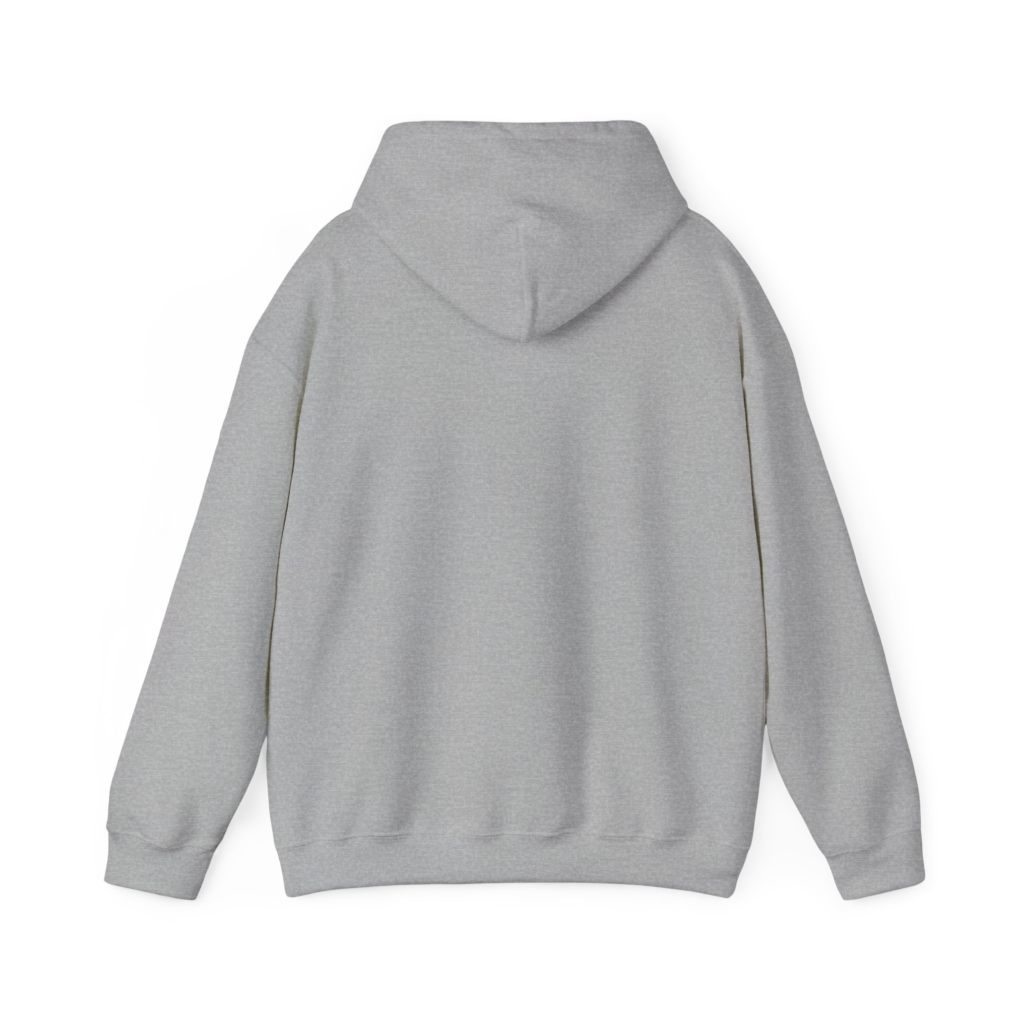 Unisex Heavy Blend™ Reading Sprint Hoodie - Image 14