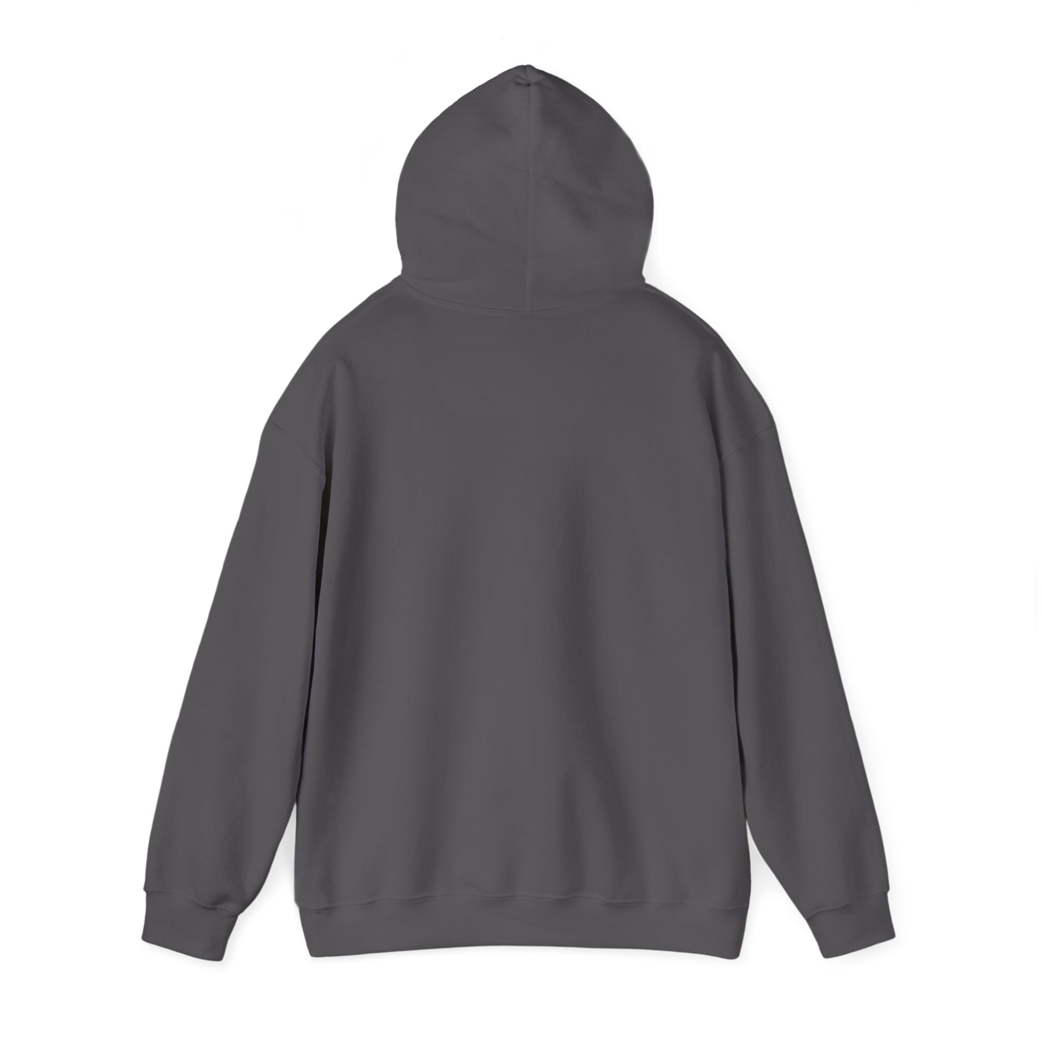 Unisex Heavy Blend™ Reading Sprint Hoodie - Image 26