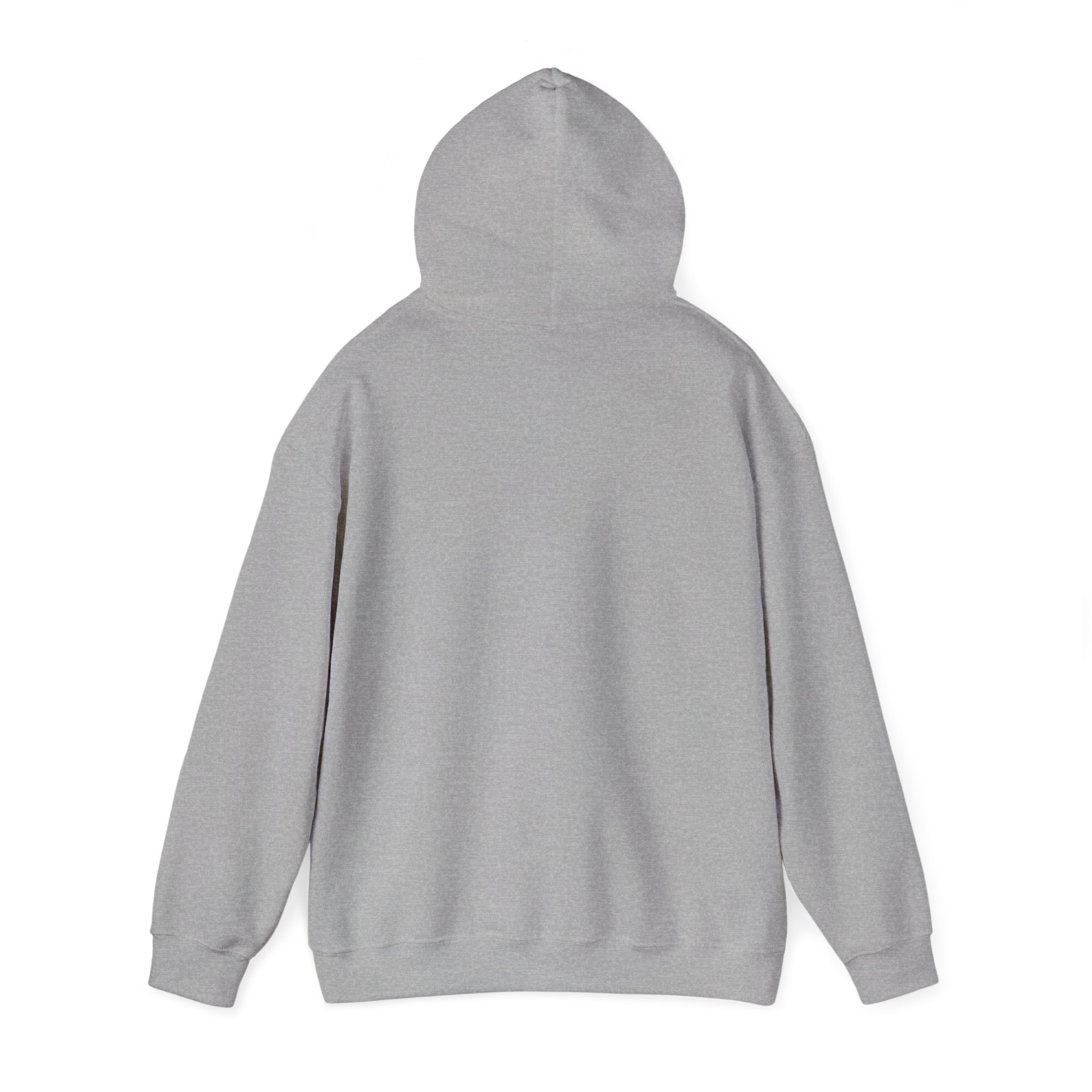 Unisex Heavy Blend™ Reading Sprint Hoodie - Image 15