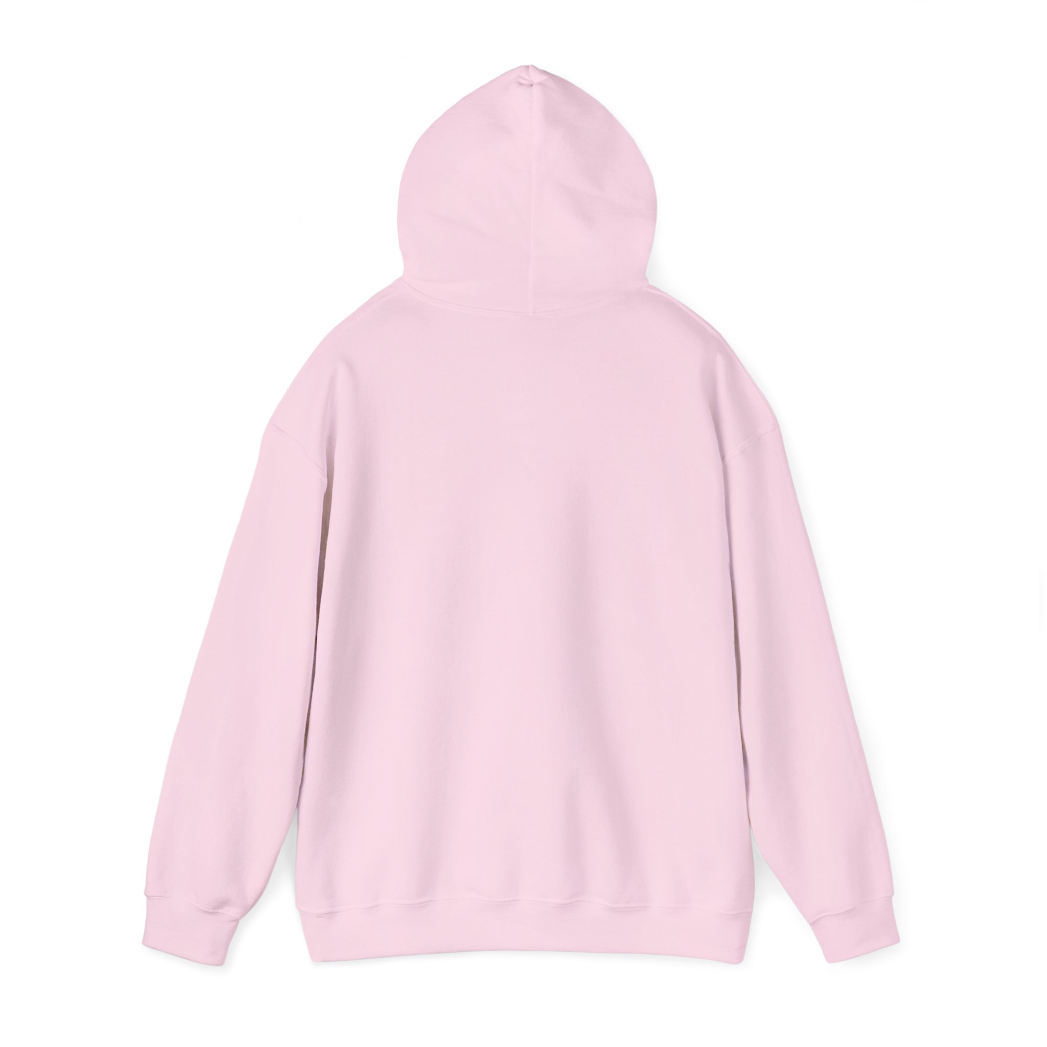 Unisex Heavy Blend™ Reading Sprint Hoodie - Image 34