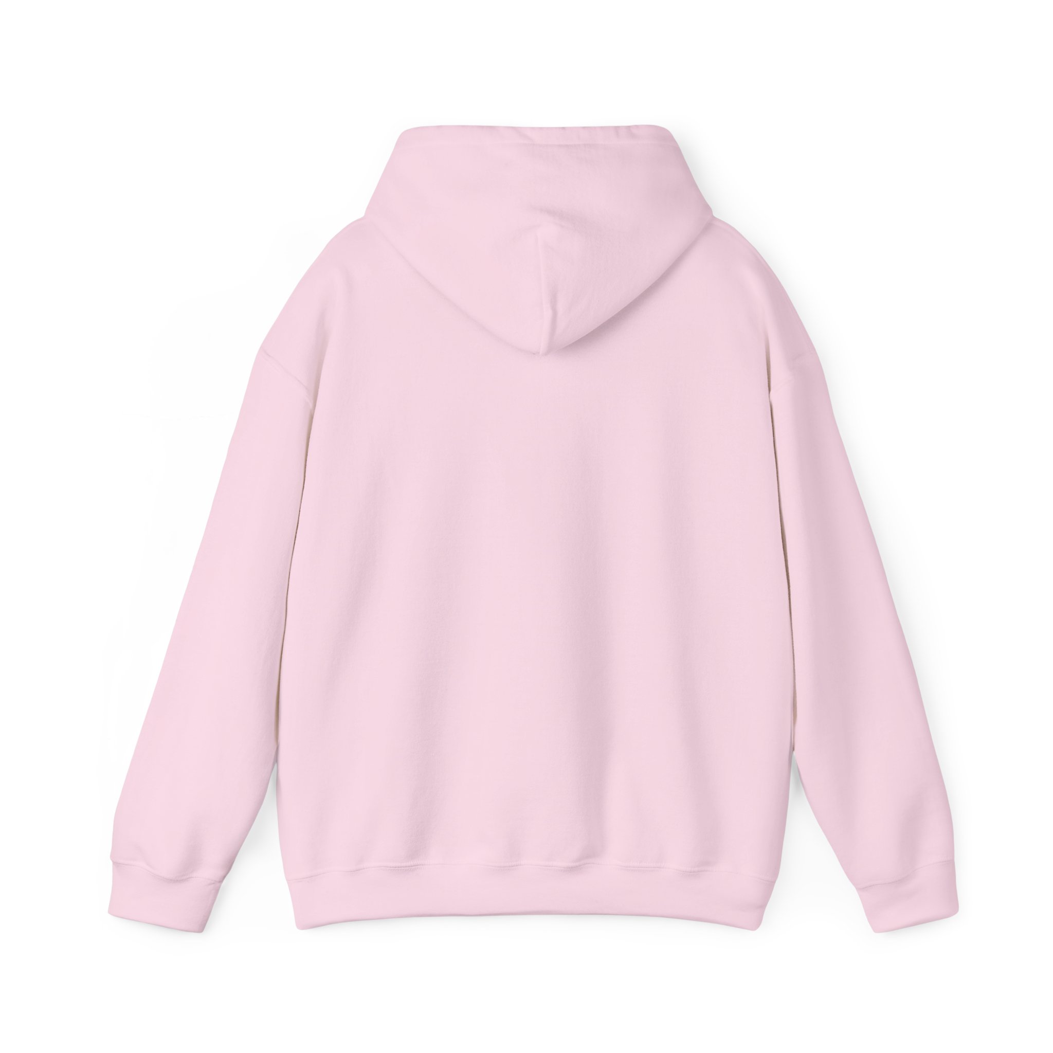 Unisex Heavy Blend™ Reading Sprint Hoodie - Image 33