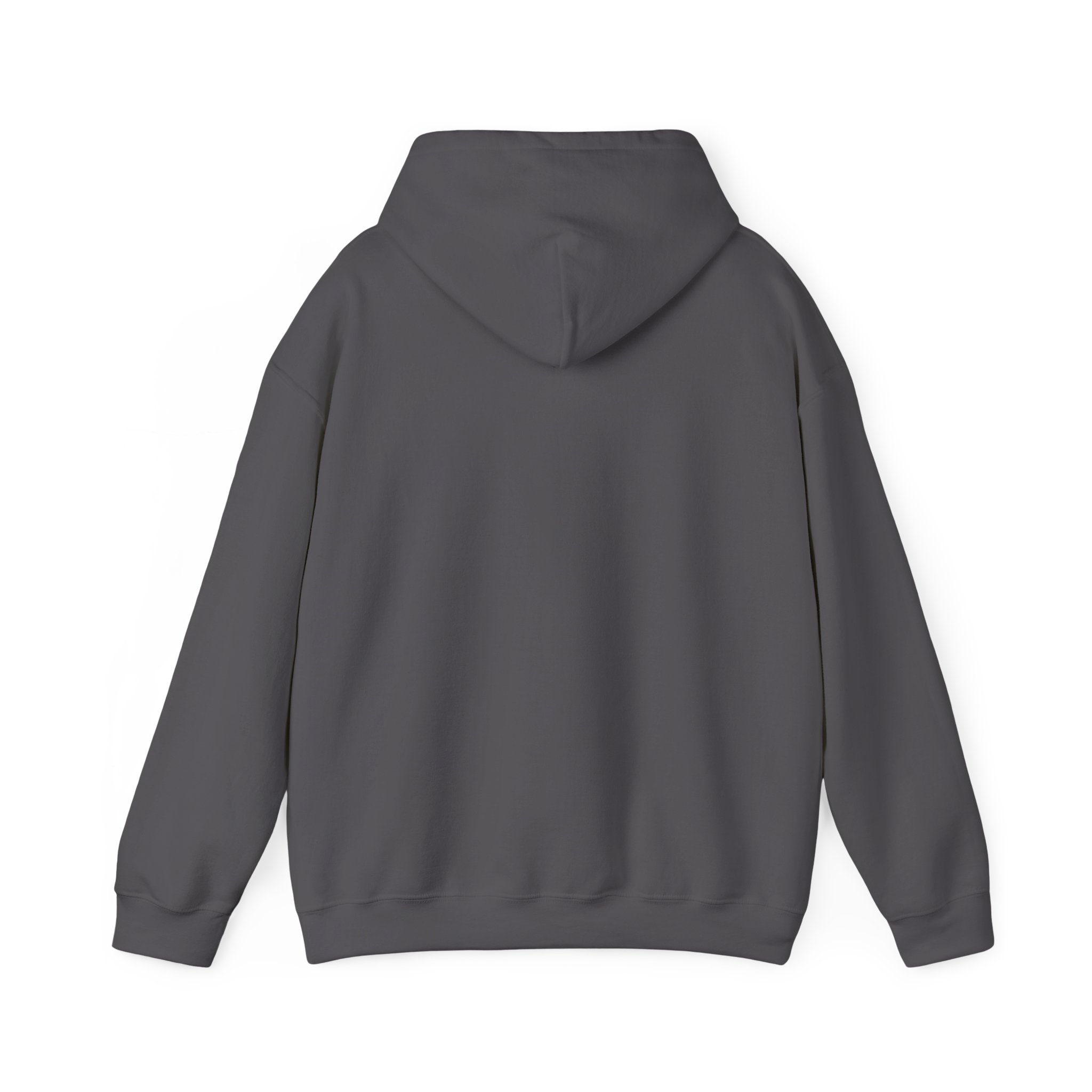 Unisex Heavy Blend™ Reading Sprint Hoodie - Image 25