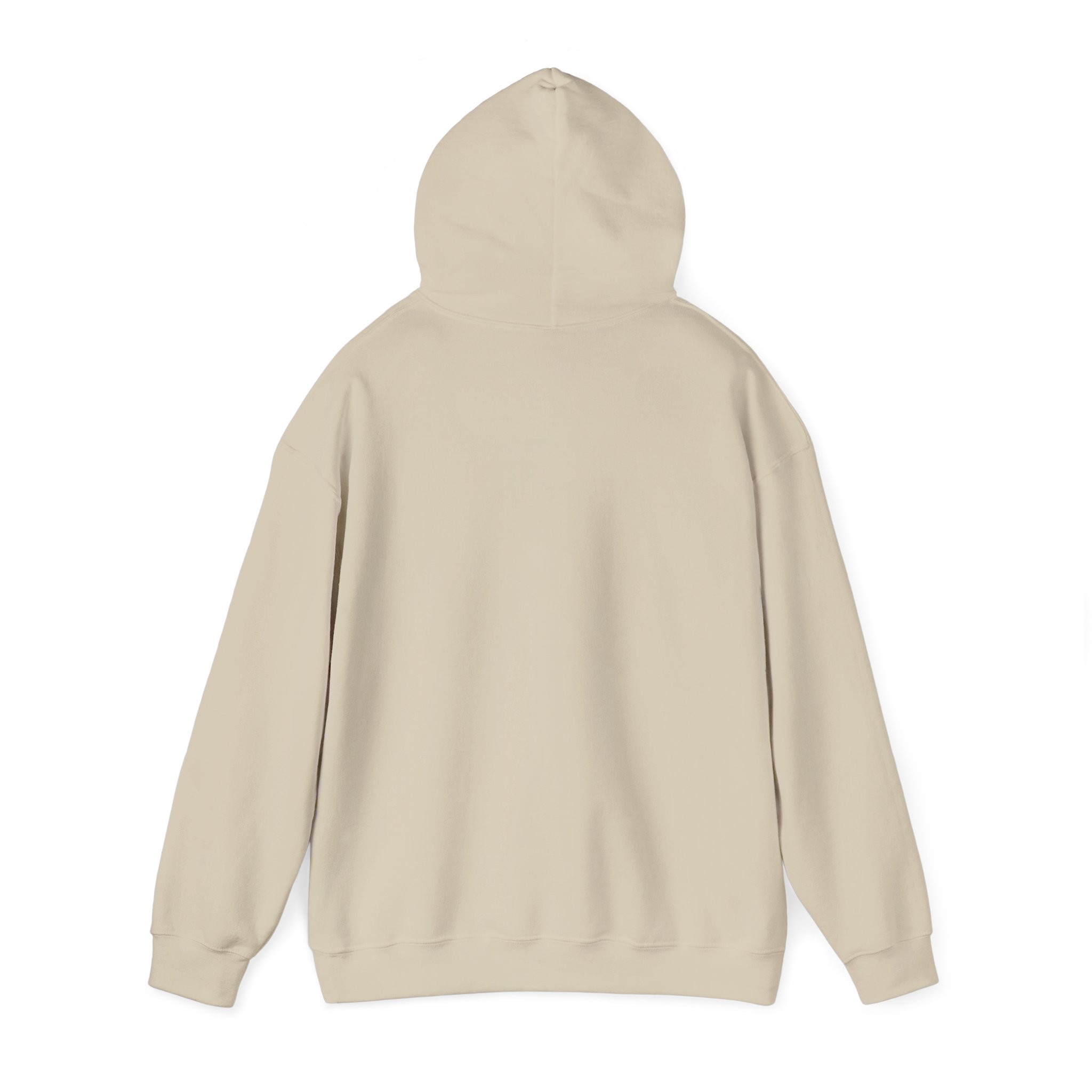 Unisex Heavy Blend™ Reading Sprint Hoodie - Image 11