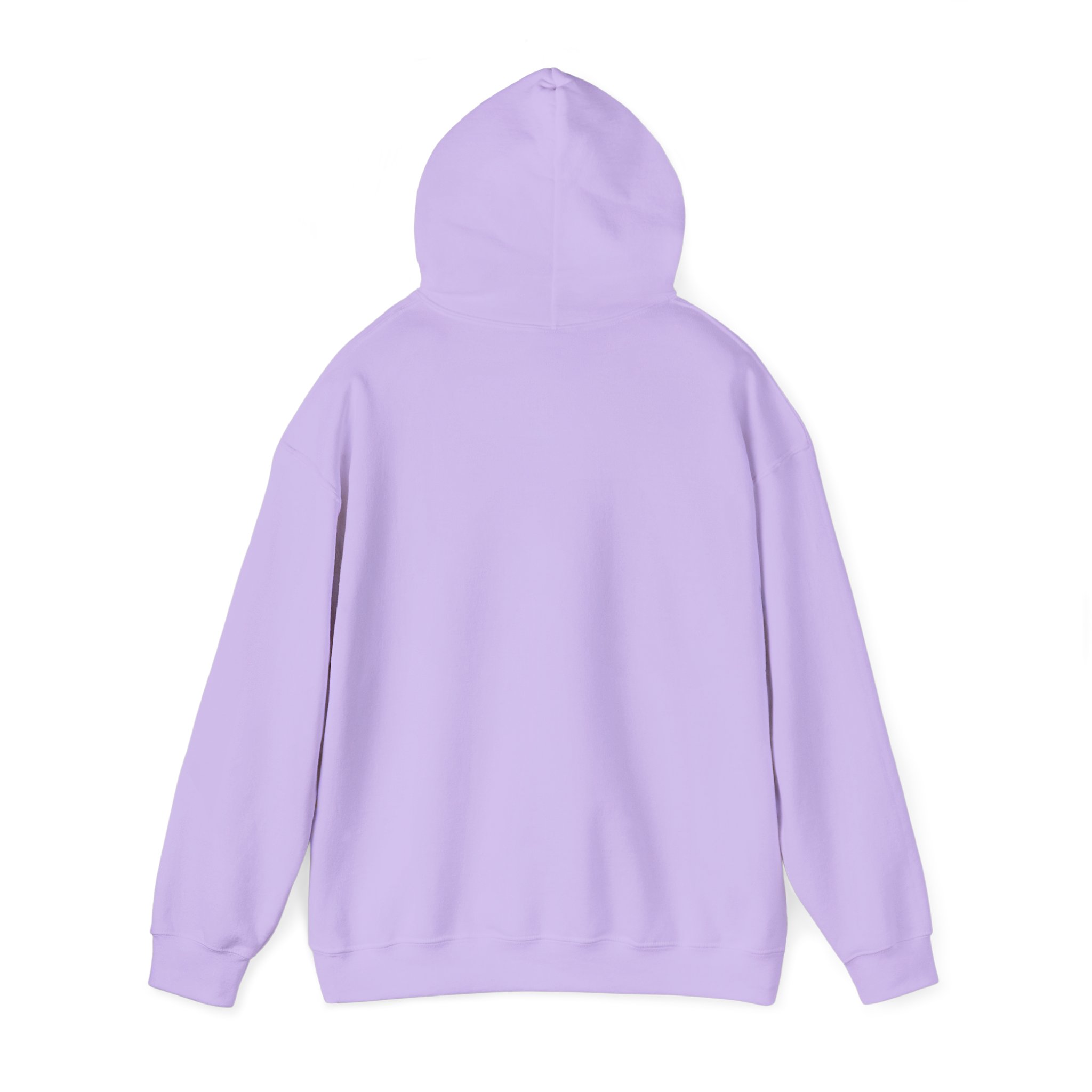 Unisex Heavy Blend™ Reading Sprint Hoodie - Image 30
