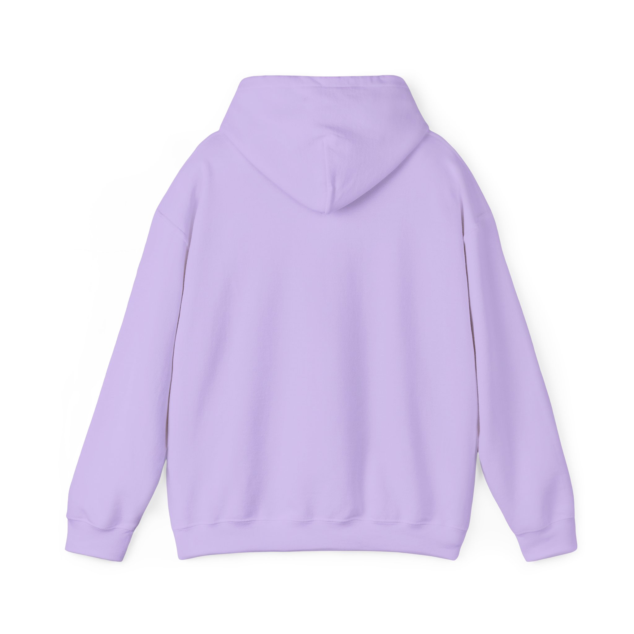 Unisex Heavy Blend™ Reading Sprint Hoodie - Image 29